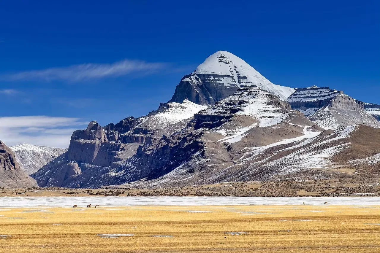 kailash-kora-pilgrim15 (1).webp